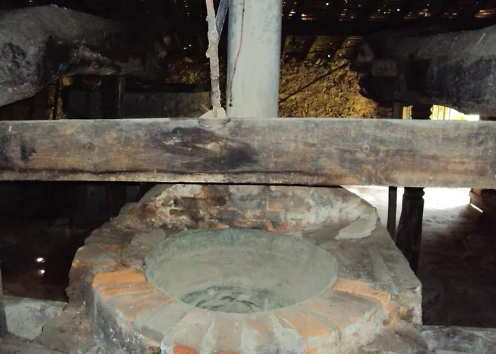 Feriehus Parque Tematico Vale de Mouro