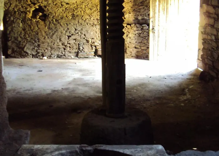 Parque Tematico Feriehus