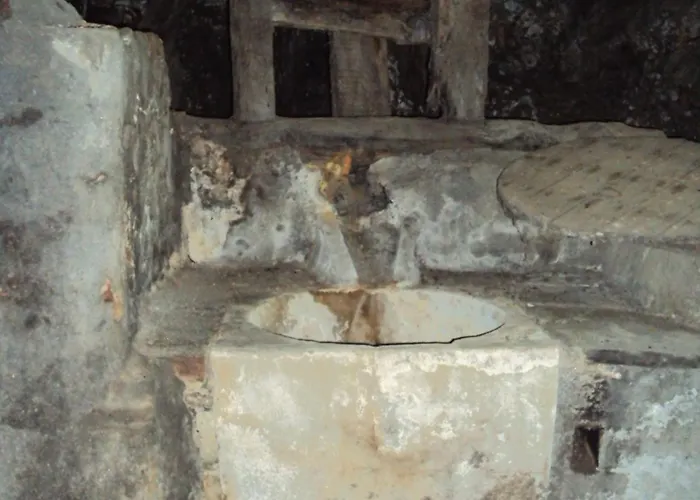 Parque Tematico Feriehus *