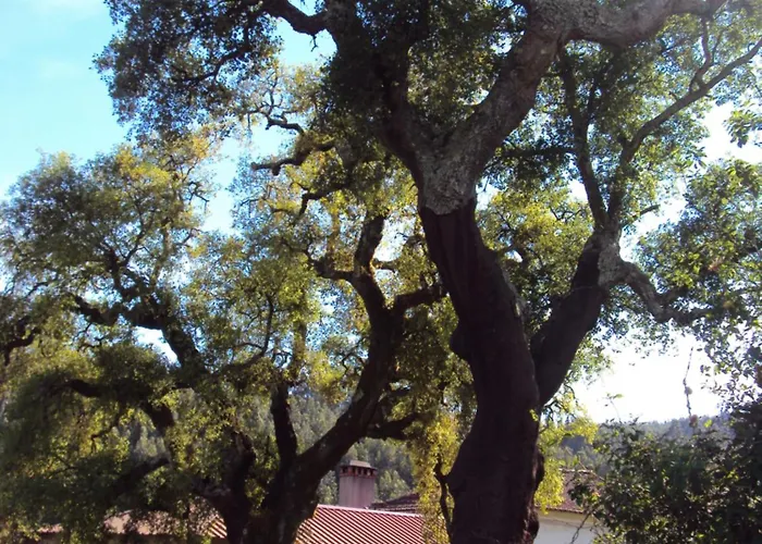 Parque Tematico Feriehus